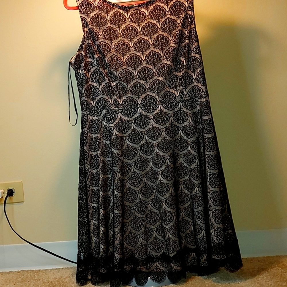 NEW WISE TAGS. BRAND KENSIA Dress kensie